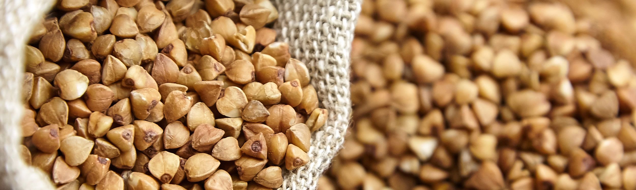 close up of seeds